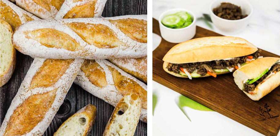 ȣ�йٰ�Ʈ��