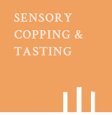 ���������̽��÷��͸�